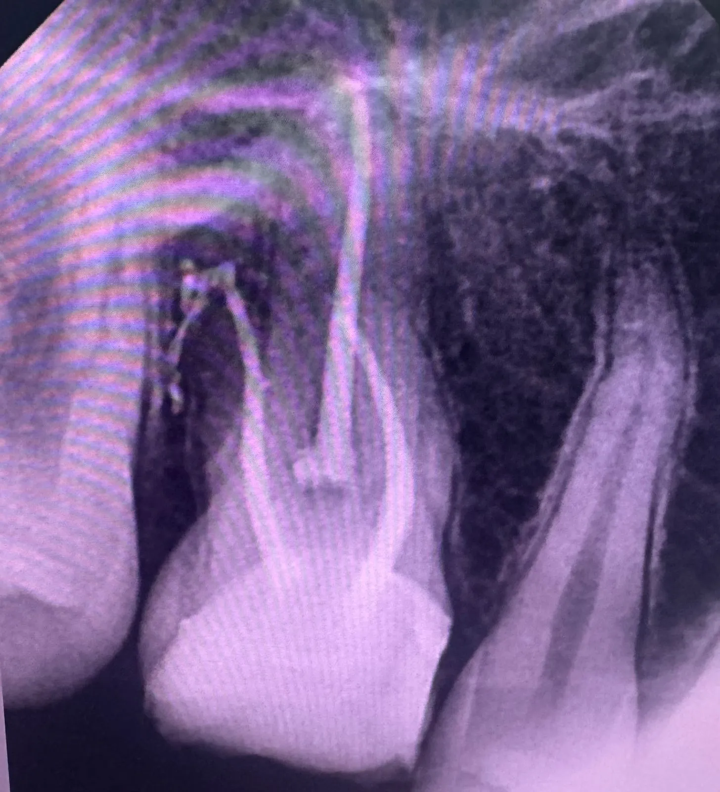 Dental clinic gallery