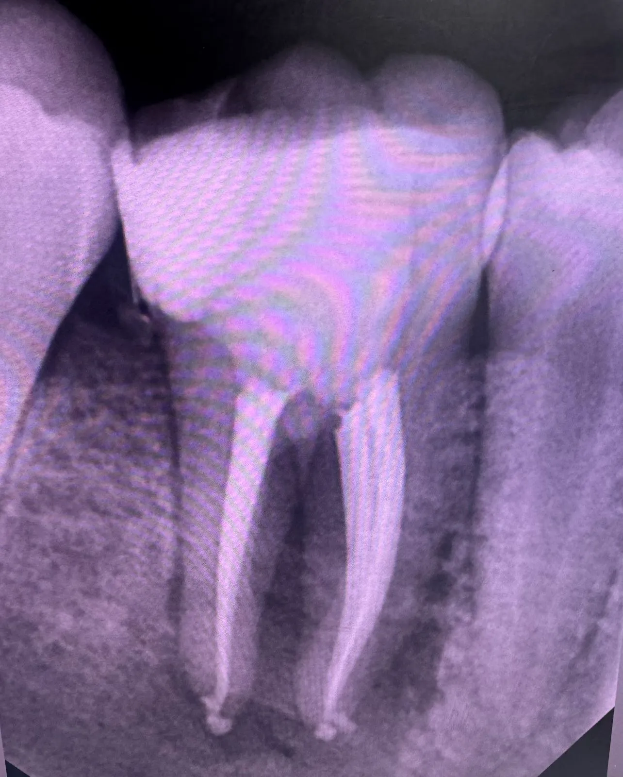 Dental clinic gallery